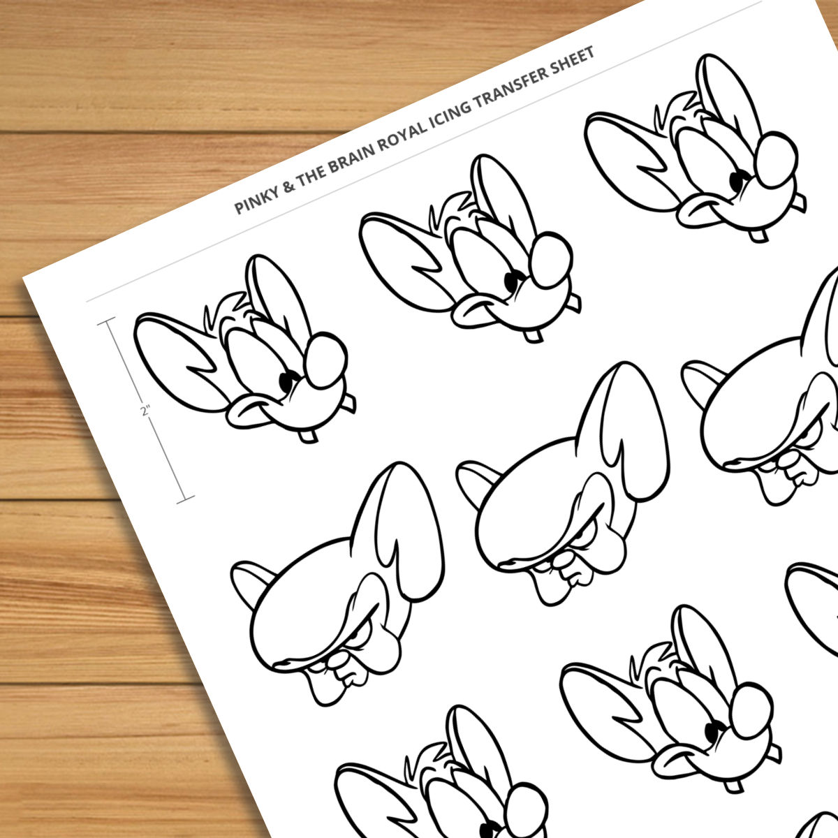 pinky-and-the-brain-2-inch-royal-icing-transfer-sheet